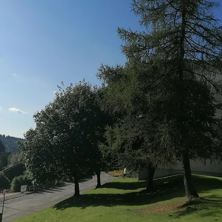 Fewo Reinsch Goslar-Hahnenklee Zewnętrze zdjęcie